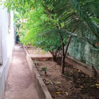 Vignette pour l'image de la liste principale